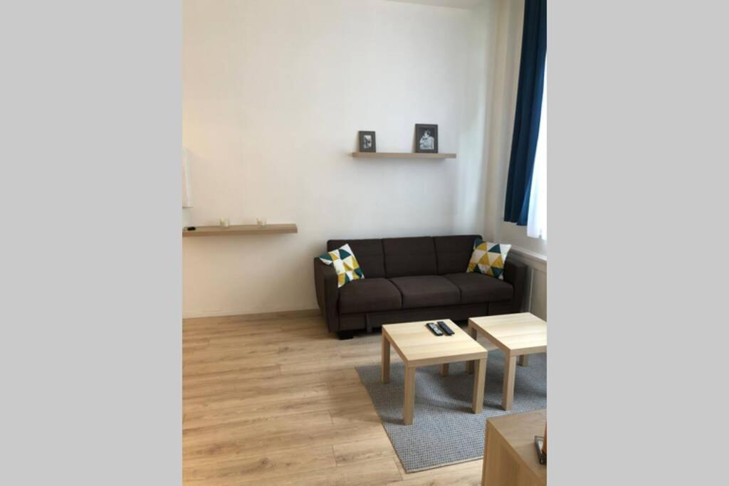 Apartment Joli 2 Pieces En Centre , Gare A 50 Metres Grenoble